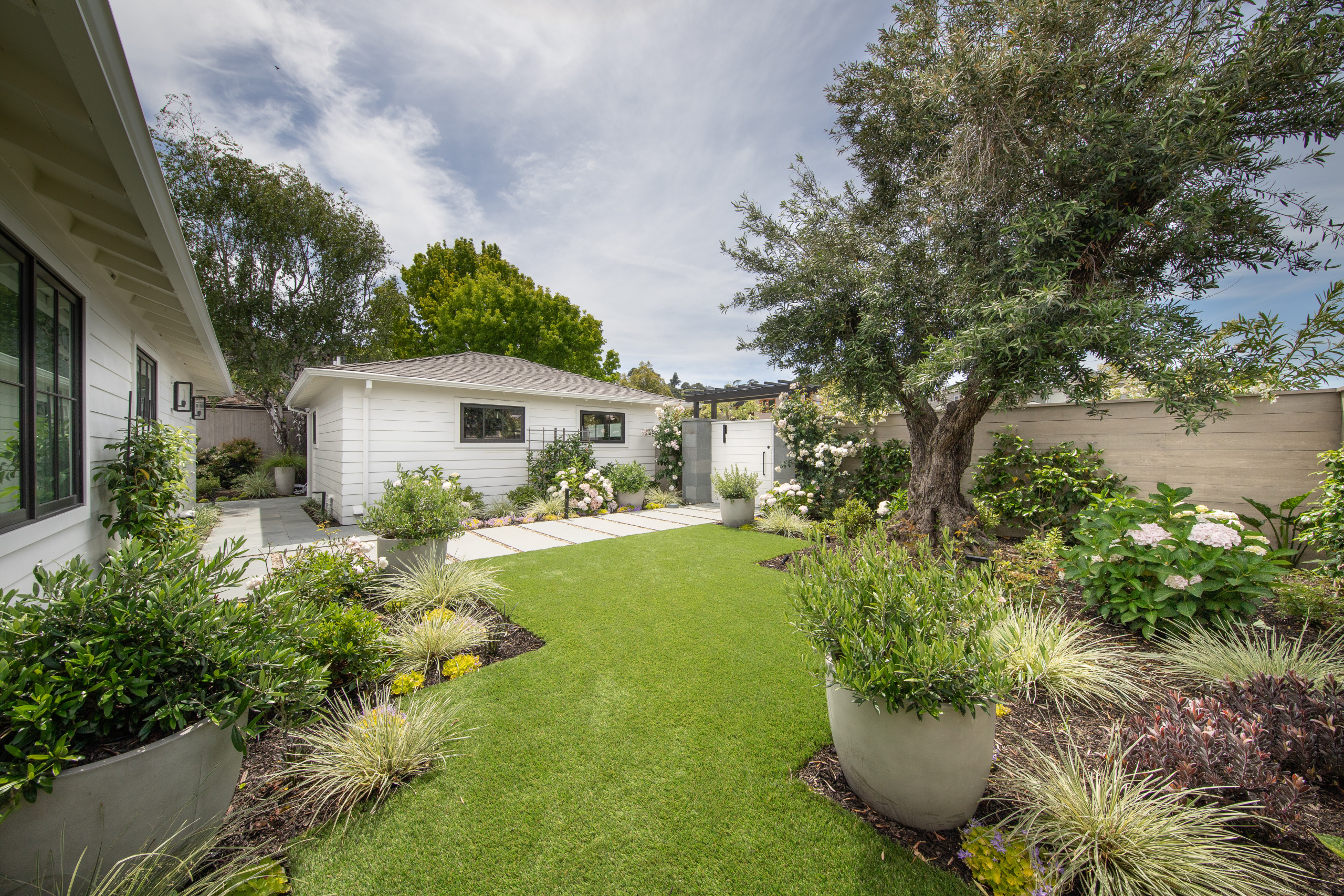 Manicured backyard garden with a pristine green lawn and olive tree