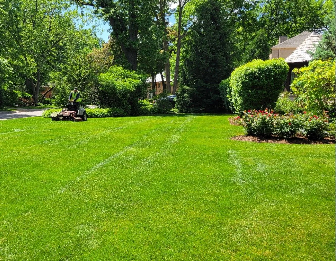 Professional mower at work on a lush green Sacramento yard