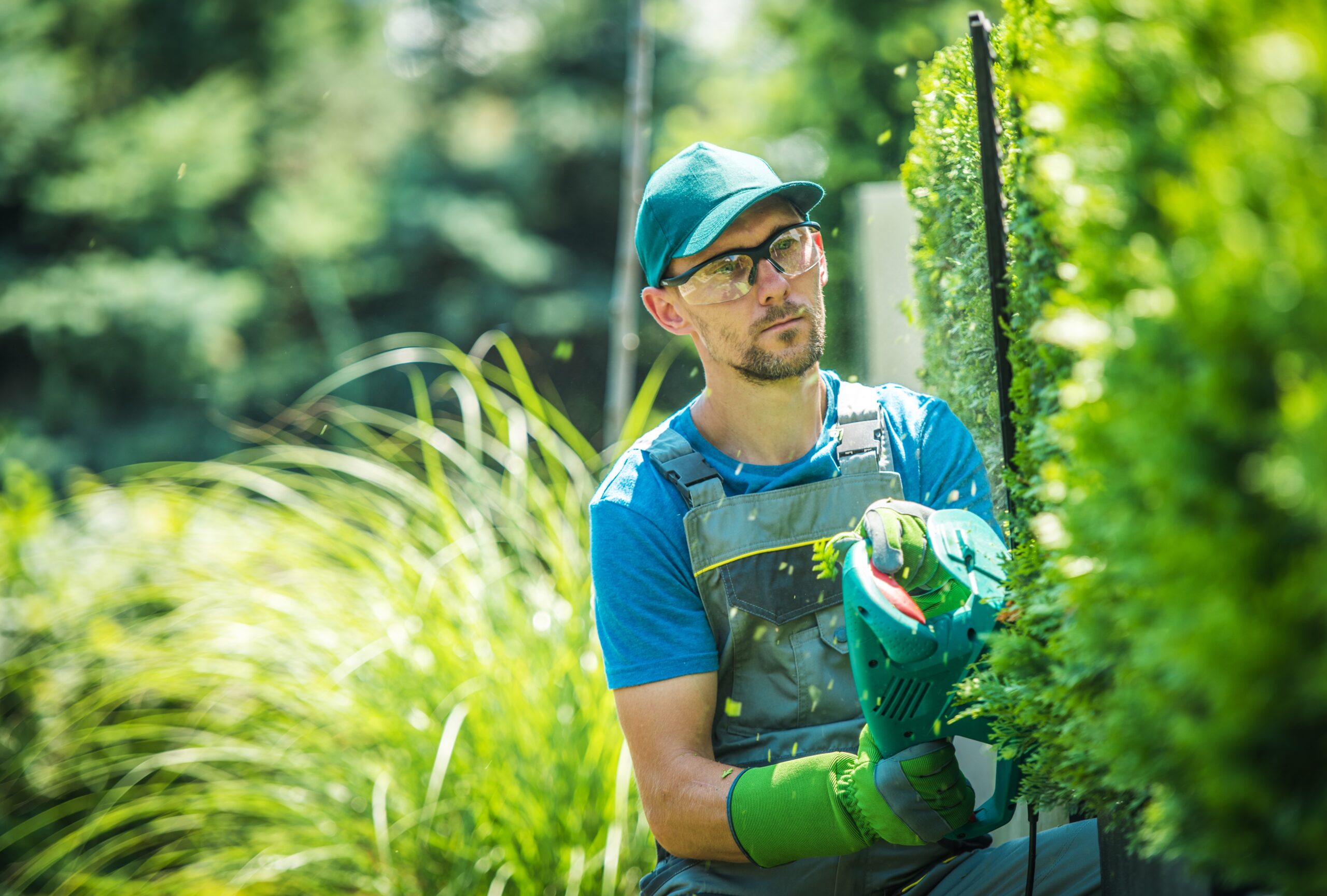 Crew member trimming a hedge with professional shears